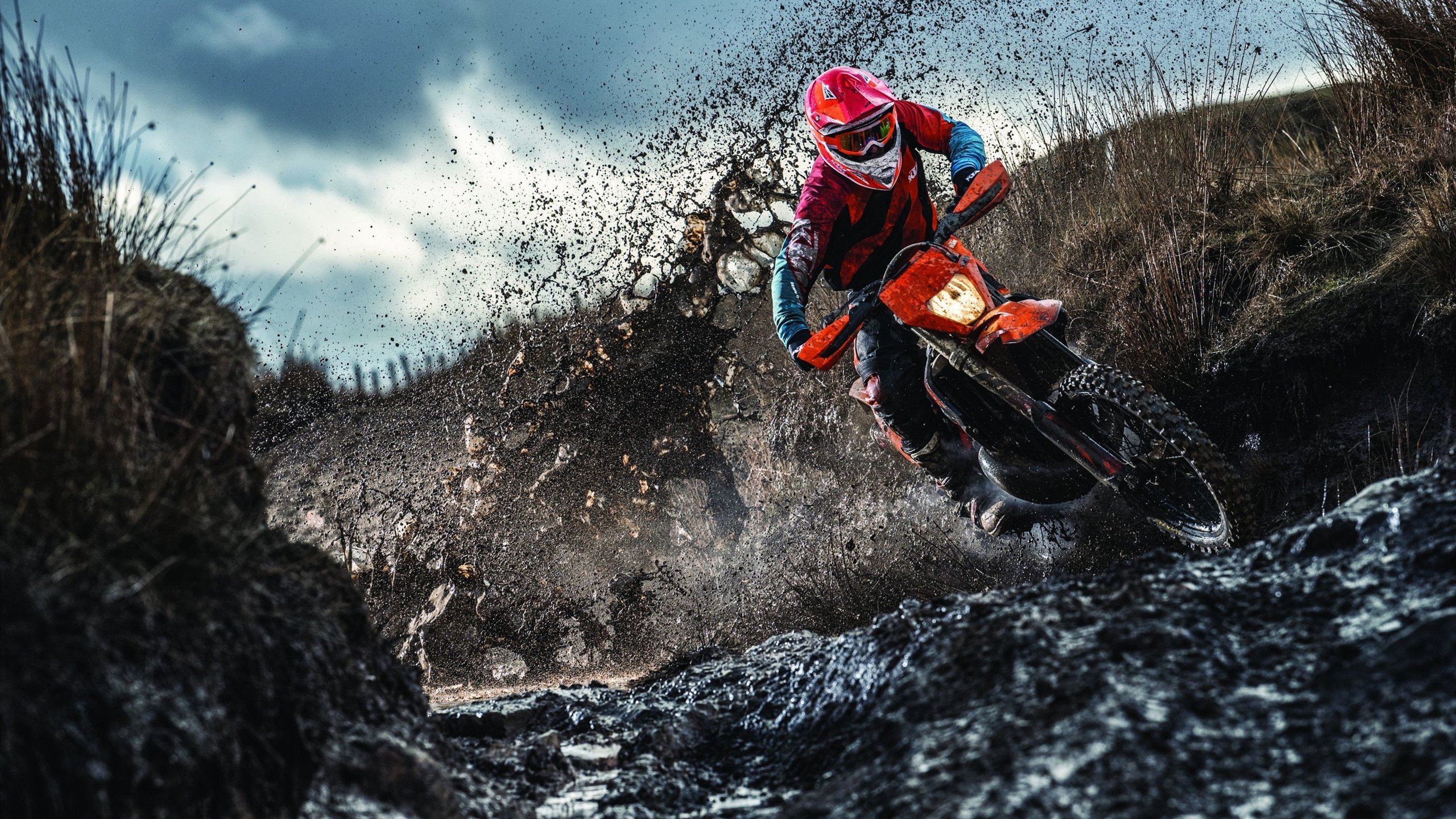 世界杯：卡塔尔首次亮相决赛圈 小组赛表现难掩经验不足